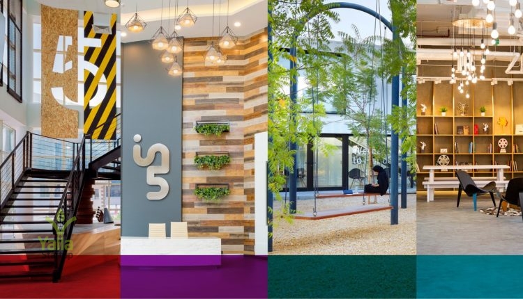 in5-يلا ستارت اب 