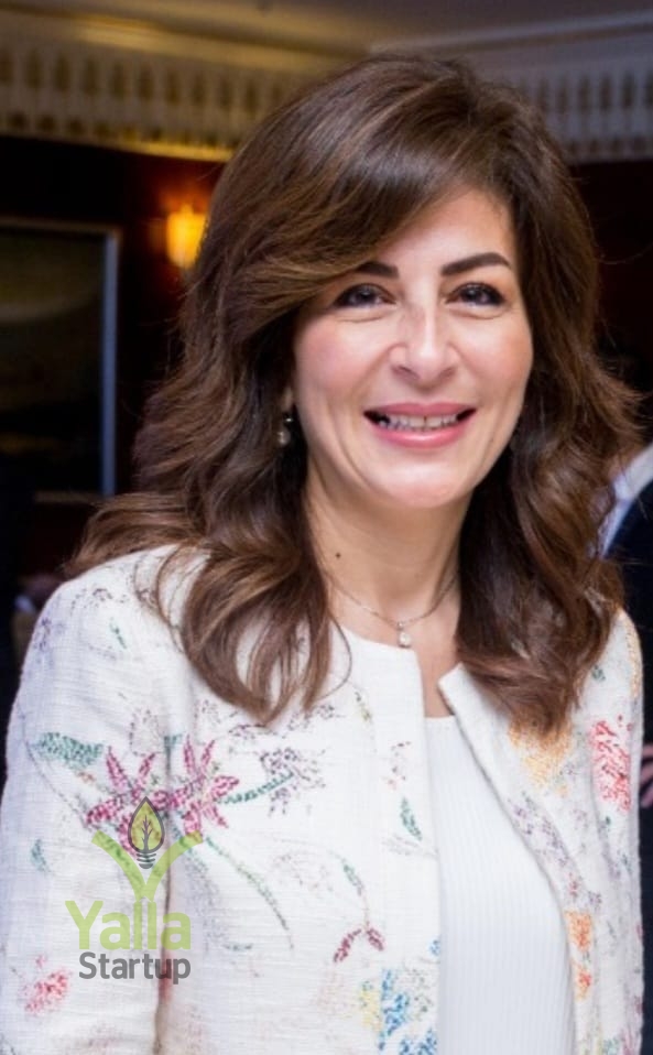 أماديوس-مصر-يلا-ستارت-اب