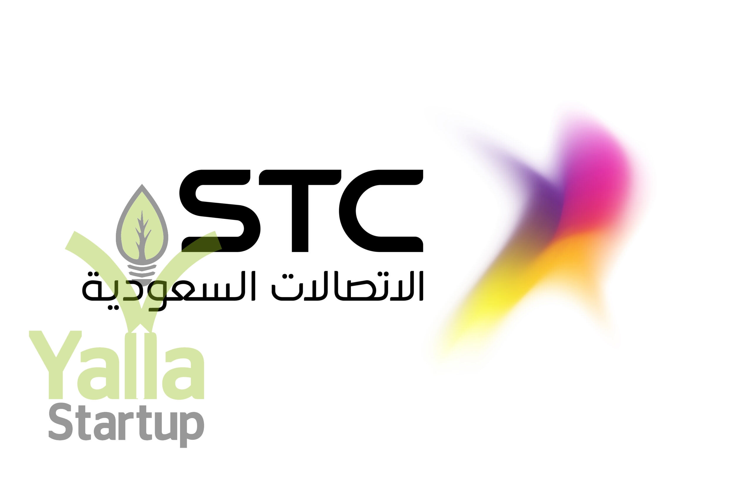 stc-يلا-ستارت-اب