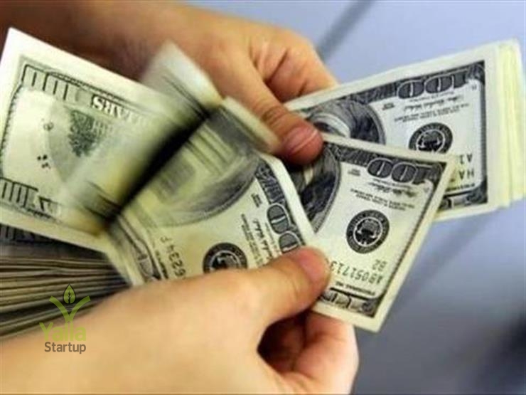 دولار-يلا-ستارت-اب