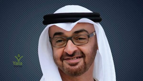 الصينية-يلا-ستارت-اب 