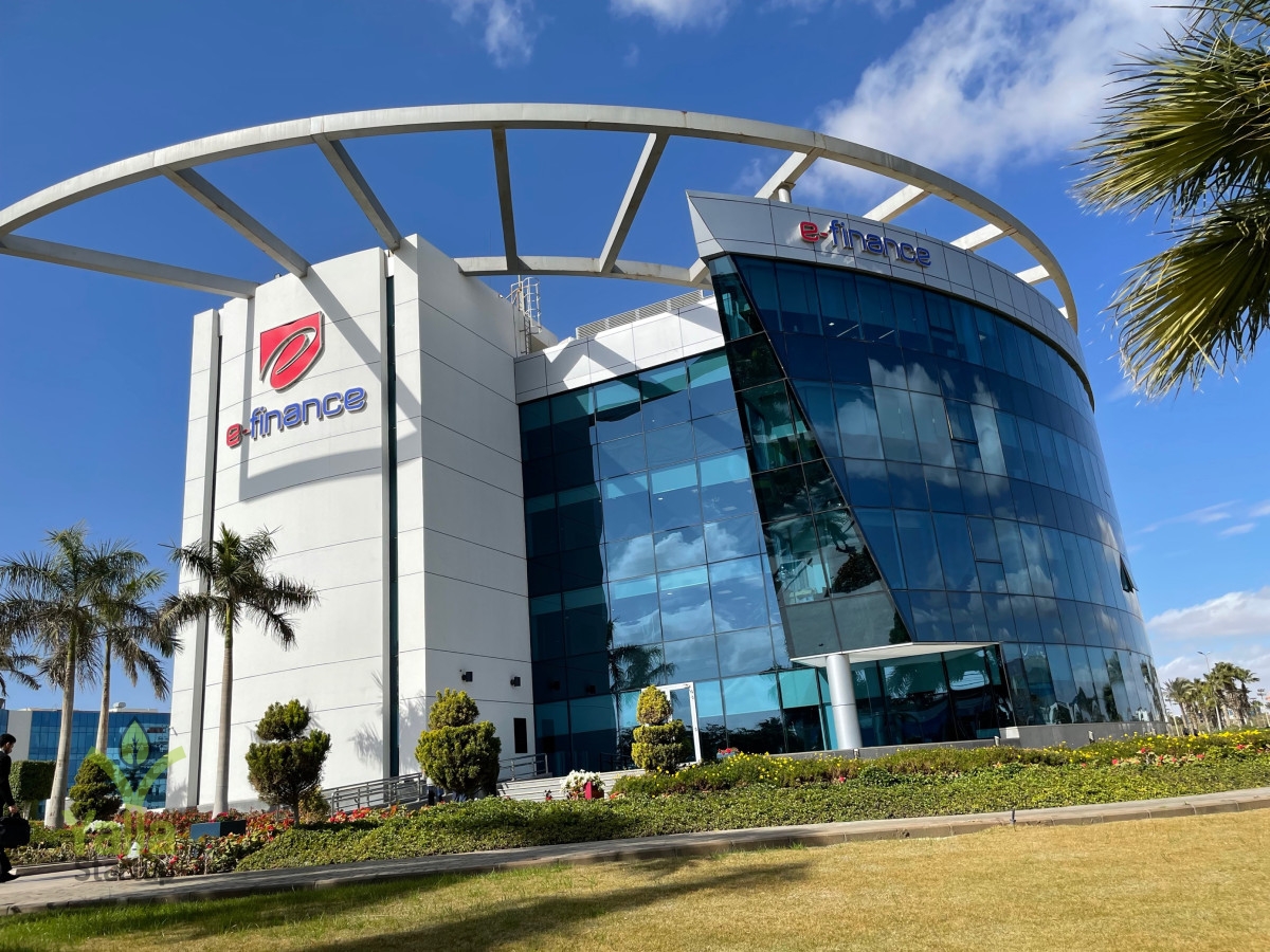 المصرية-يلا-ستارت-اب