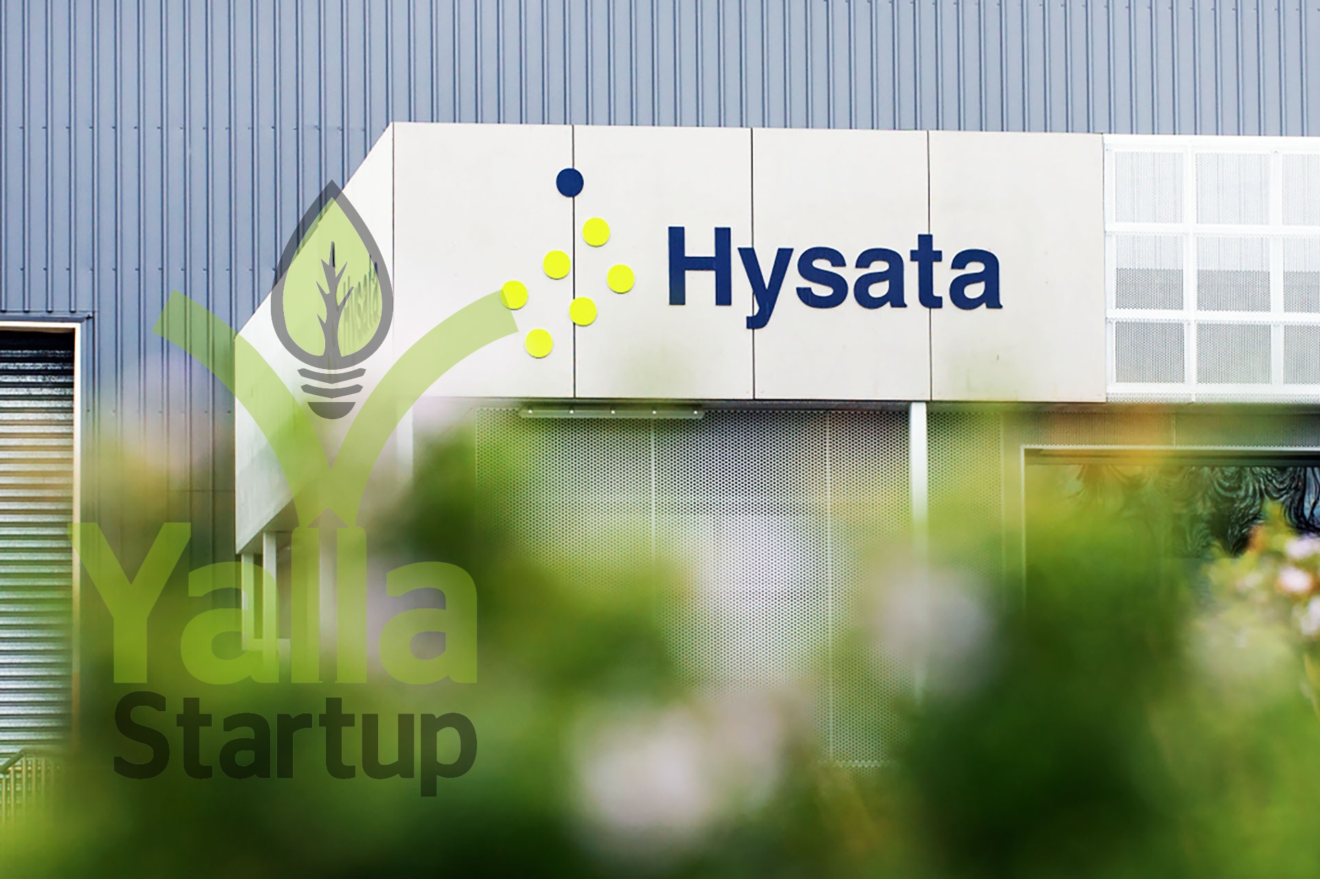 IDO-Investments-يلا-ستارت-اب