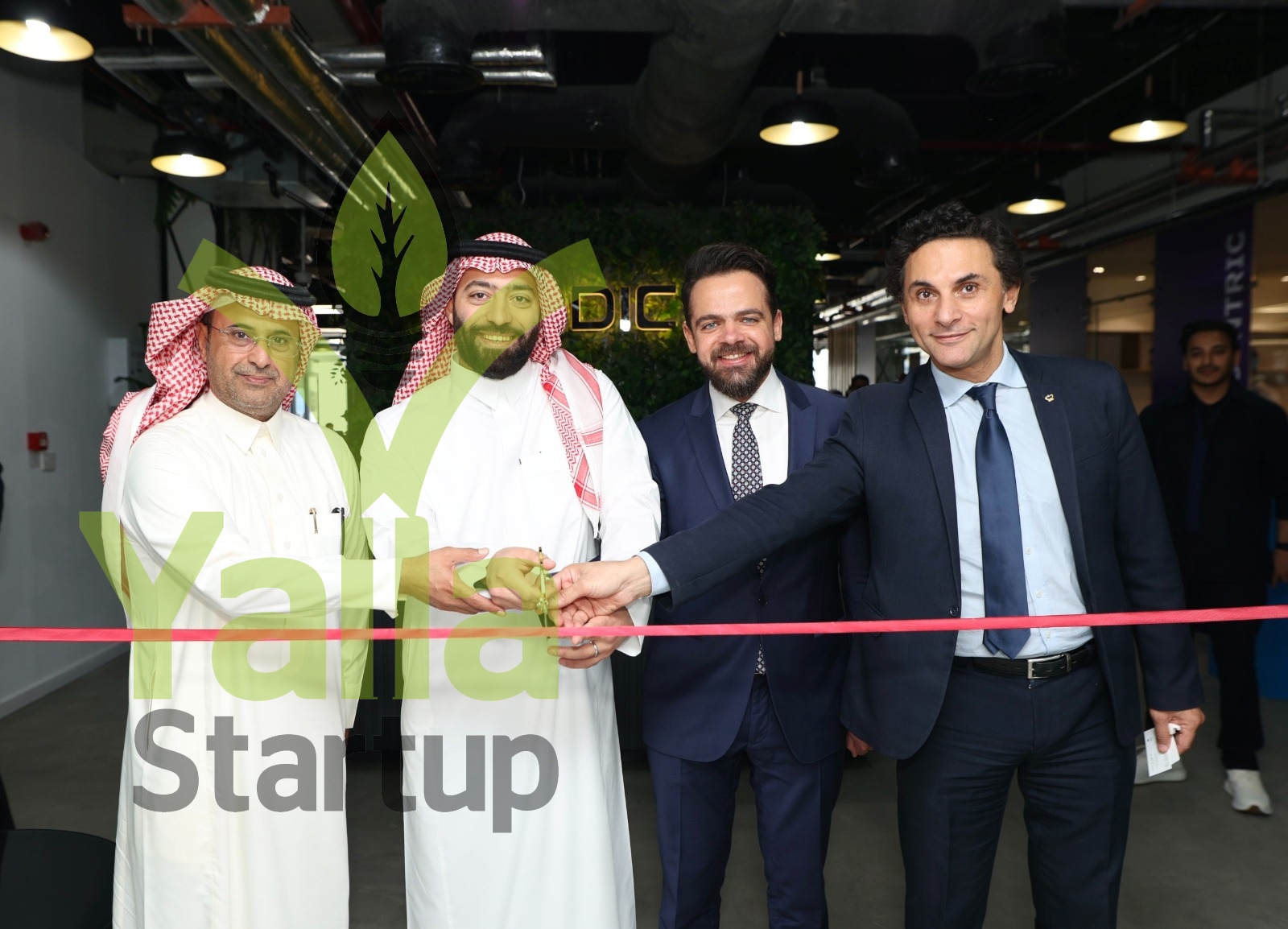 فودكس-يلا-ستارت-اب