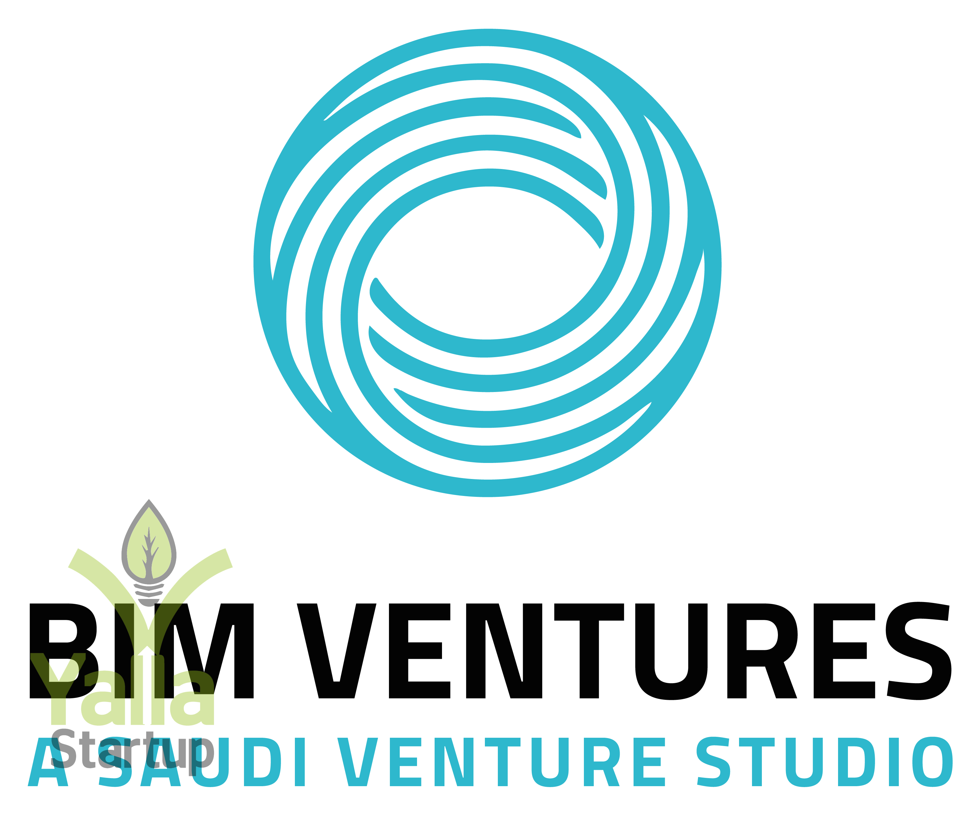 BIM-Ventures-يلا-ستارت-اب