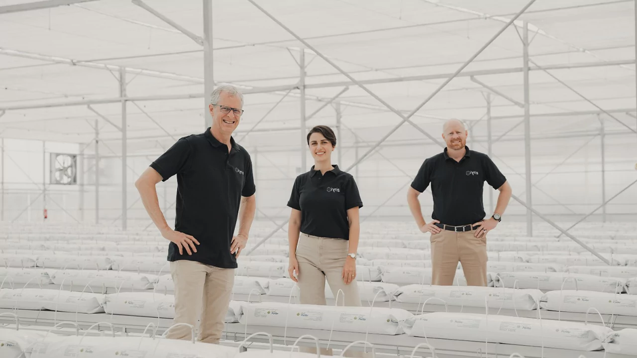 آيريس-يلا-ستارت-اب