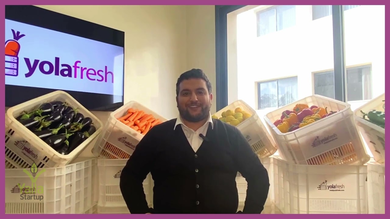 يولا-فريش-يلا-ستارت-اب