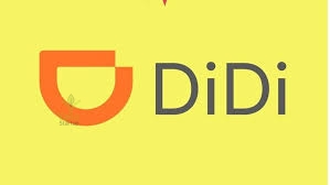 دي-دي-يلا-ستارت-اب