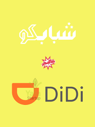 دي-دي-يلا-ستارت-اب