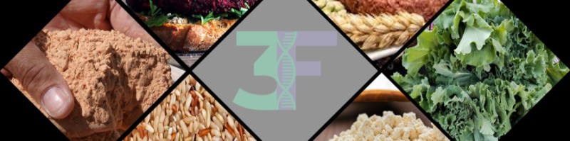 Future-يلا-ستارت-اب