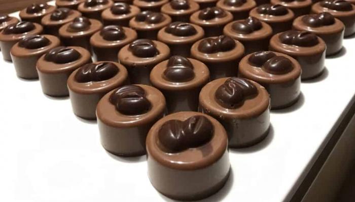 الشركات-يلا-ستارت-اب