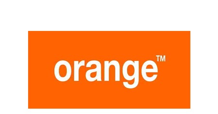 جريفولز-ايجيبت-يلا-ستارت-اب