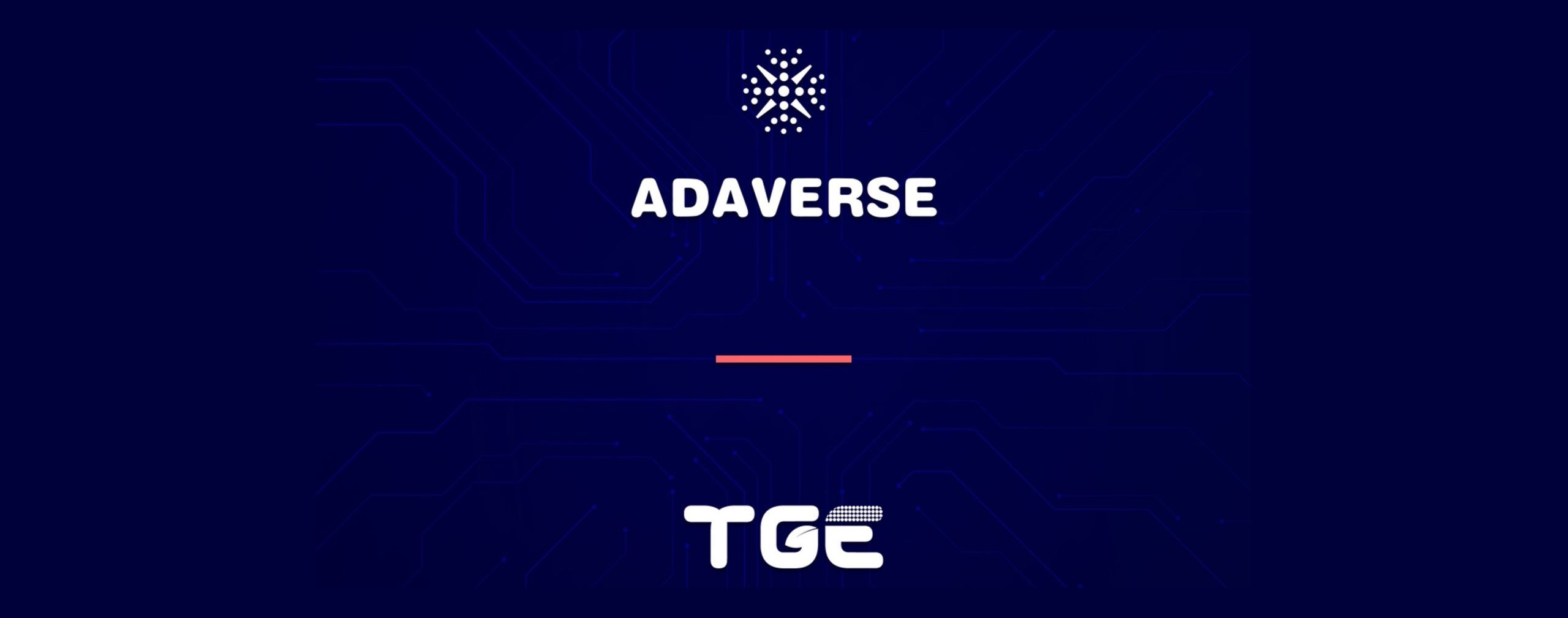 صندوق-Adaverse-يلا-ستارت-اب