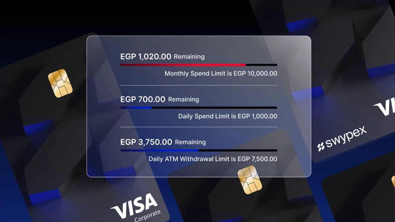 فيزا-يلا-ستارت-اب