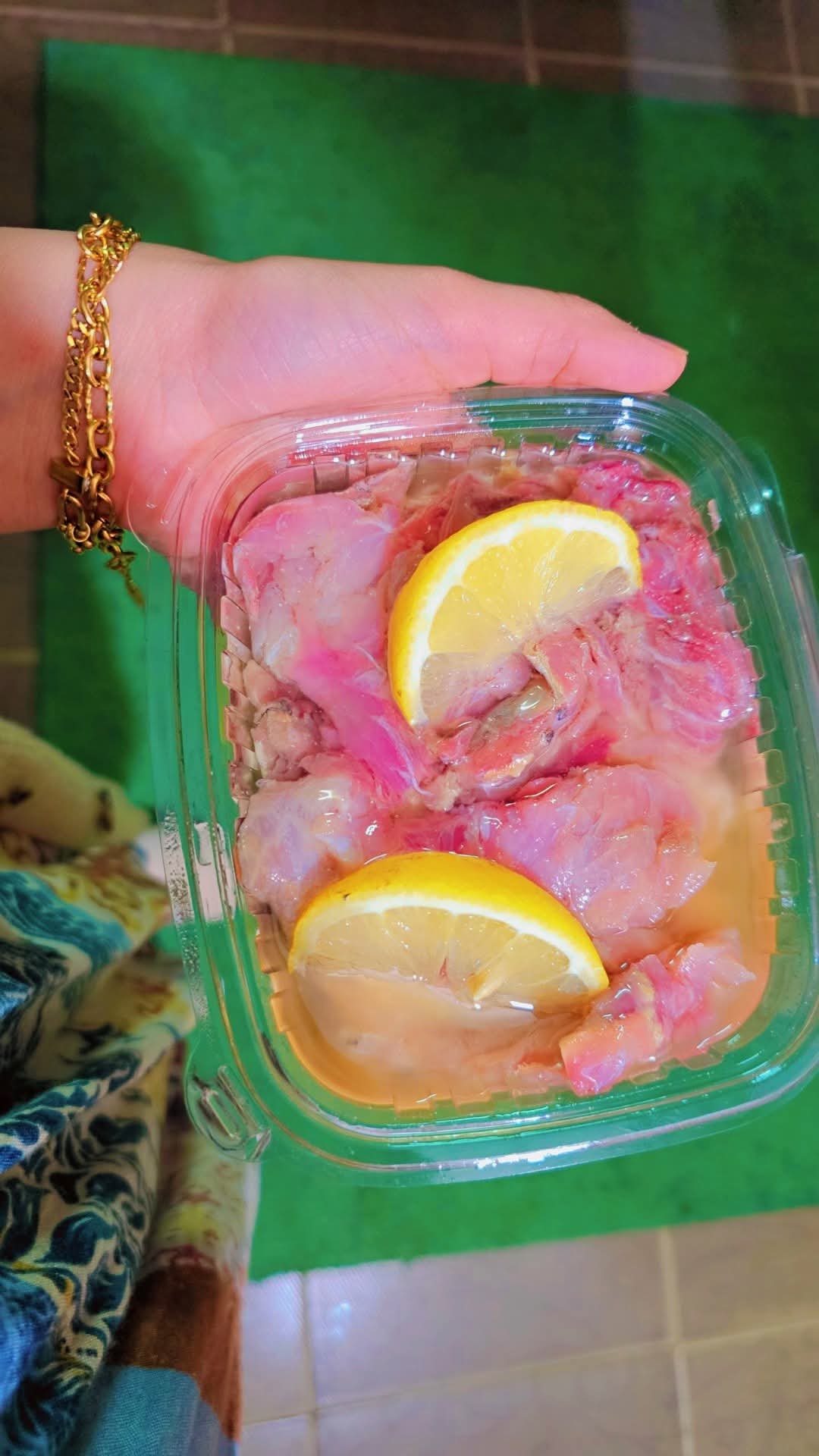 فسيخ-يلا-ستارت-اب