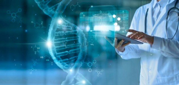 شركات-يلا-ستارت-اب