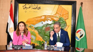 نائب وزير الاتصالات وتكنولوجيا المعلومات