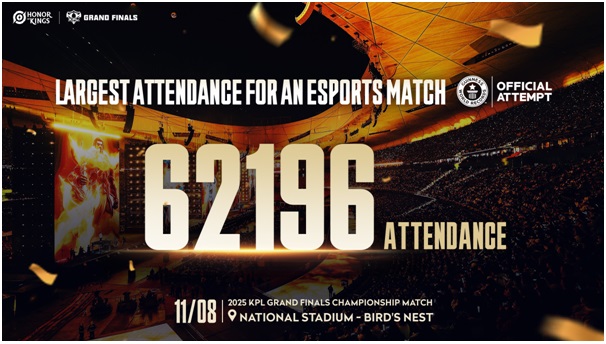 King-يلا-ستارت-اب