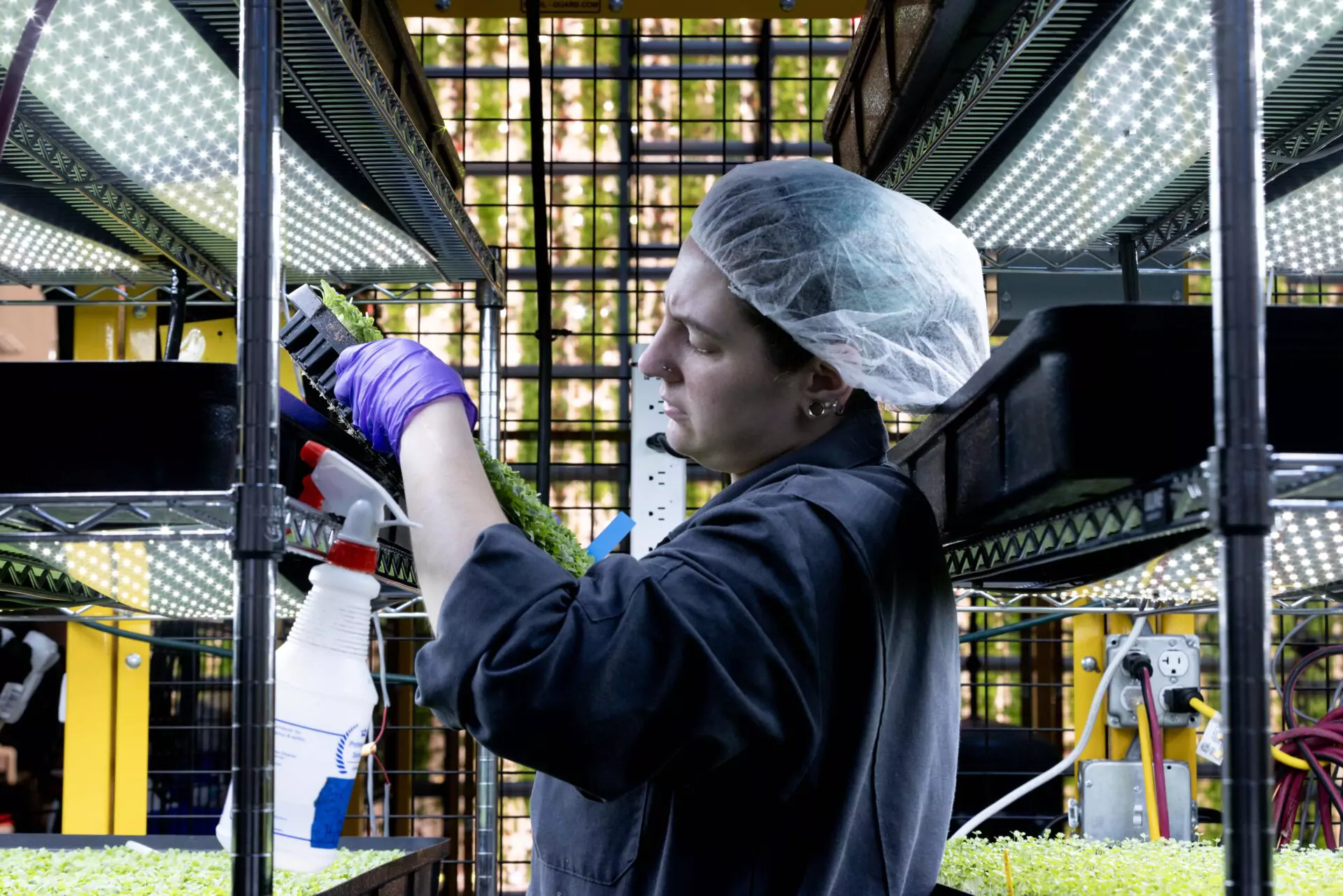 From Moonshot to Meltdown: How Market Realities Toppled Ÿnsect, the French Insect-Farming Startup That Raised Over $600 Million