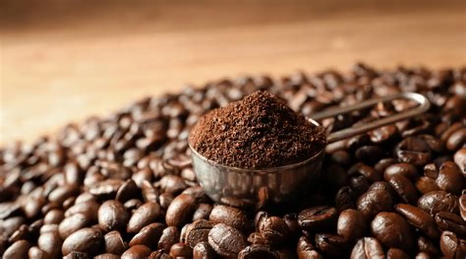 حين يتحول الإصرار إلى علامة عالمية: قصة صعود شركة قهوة أمريكية