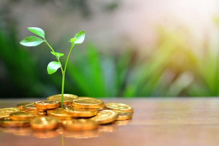 Skipr-يلا-ستارت-اب