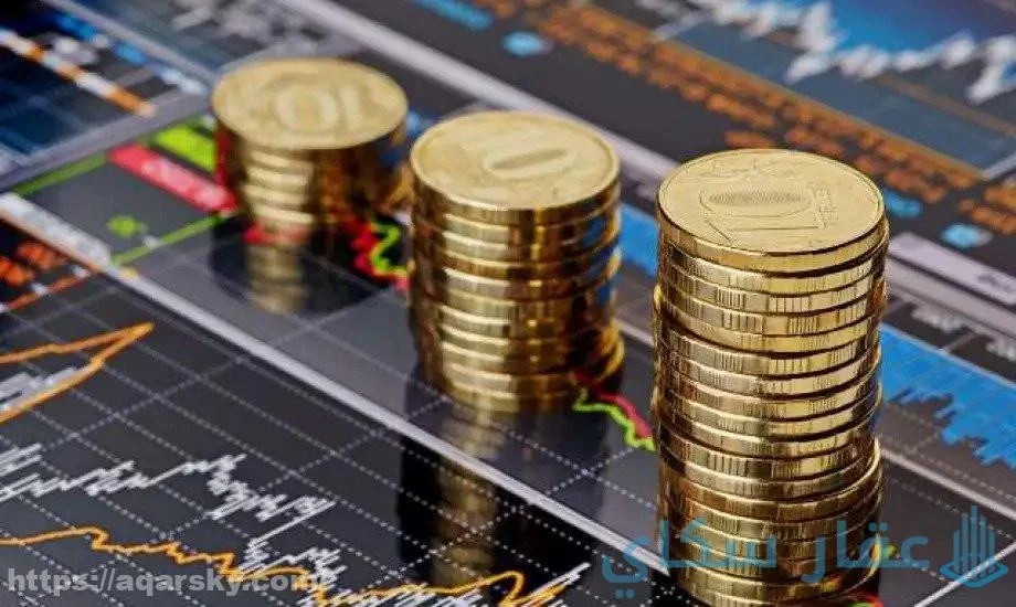 مدفوع-جولة-يلا-ستارت-اب