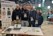 تكنولوجيا الغذاء في مصر AlProtein